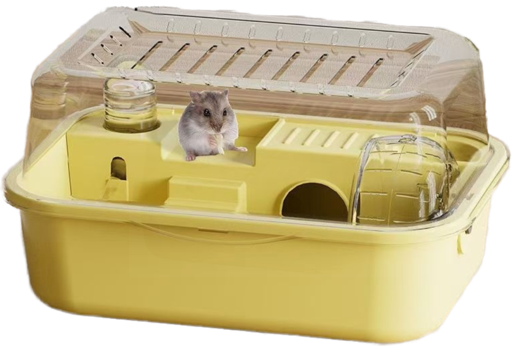 Small pet habitat with exercise accessories